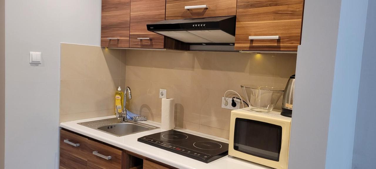 Tlc Apartments Cracow Krakkó Kültér fotó